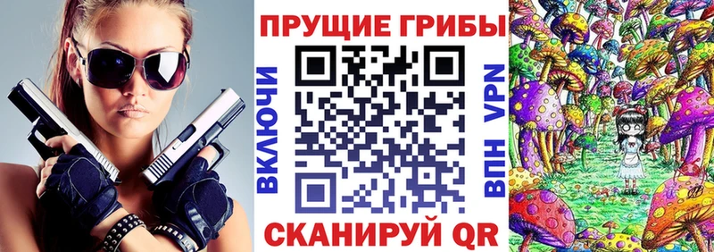 как найти   Сусуман  Галлюциногенные грибы мухоморы 